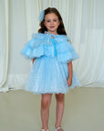 Sparkle Blue Dress Set